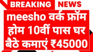 Meesho Work From Home 2026